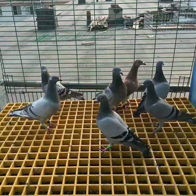 微信圖片_20210330180201.jpg
